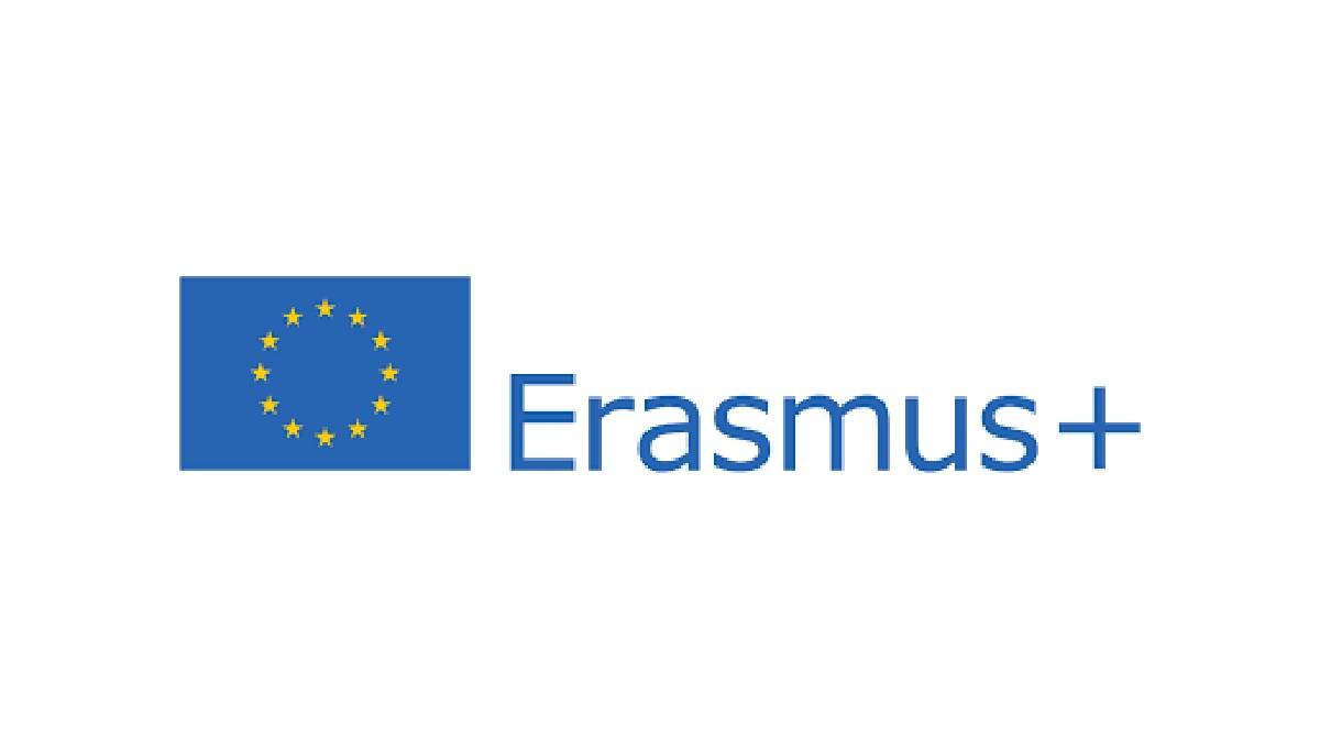 Erasmus Internship