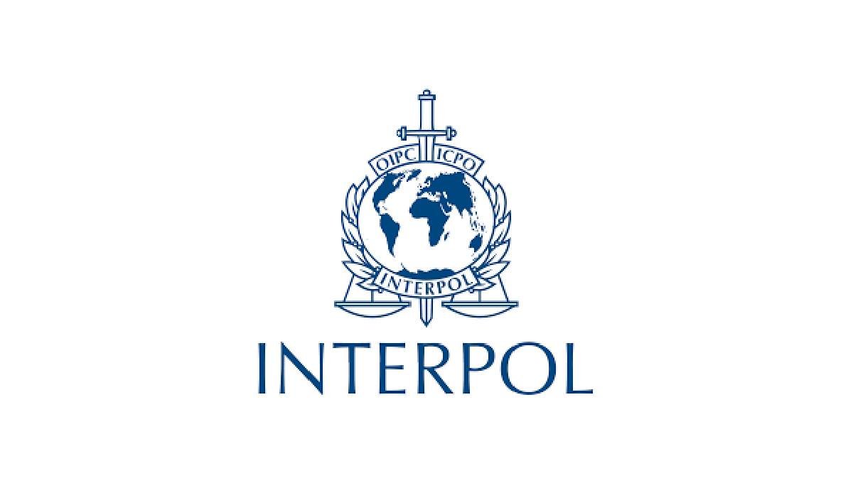 Interpol Internship