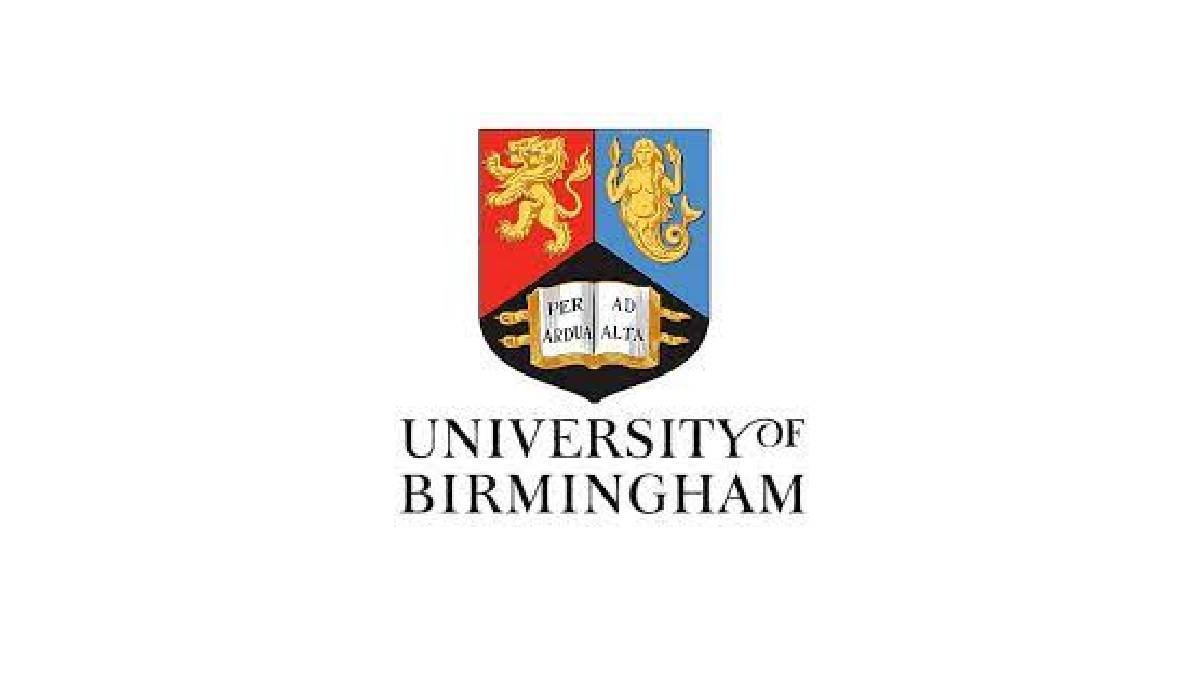 UOB Internship