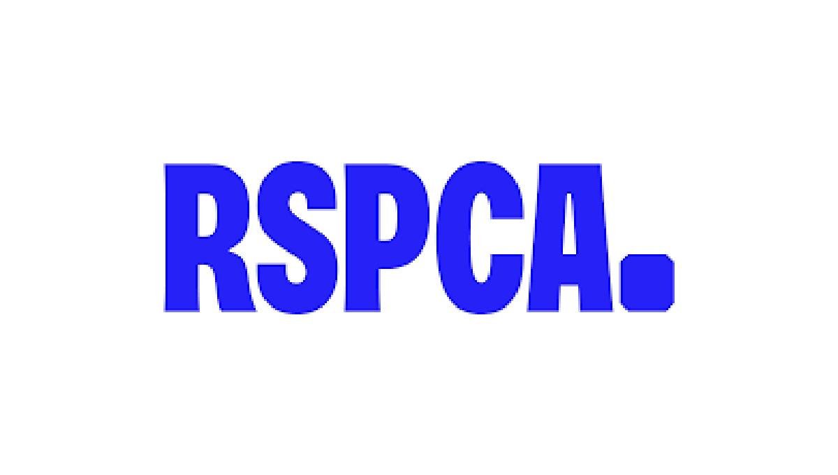 RSPCA Internship