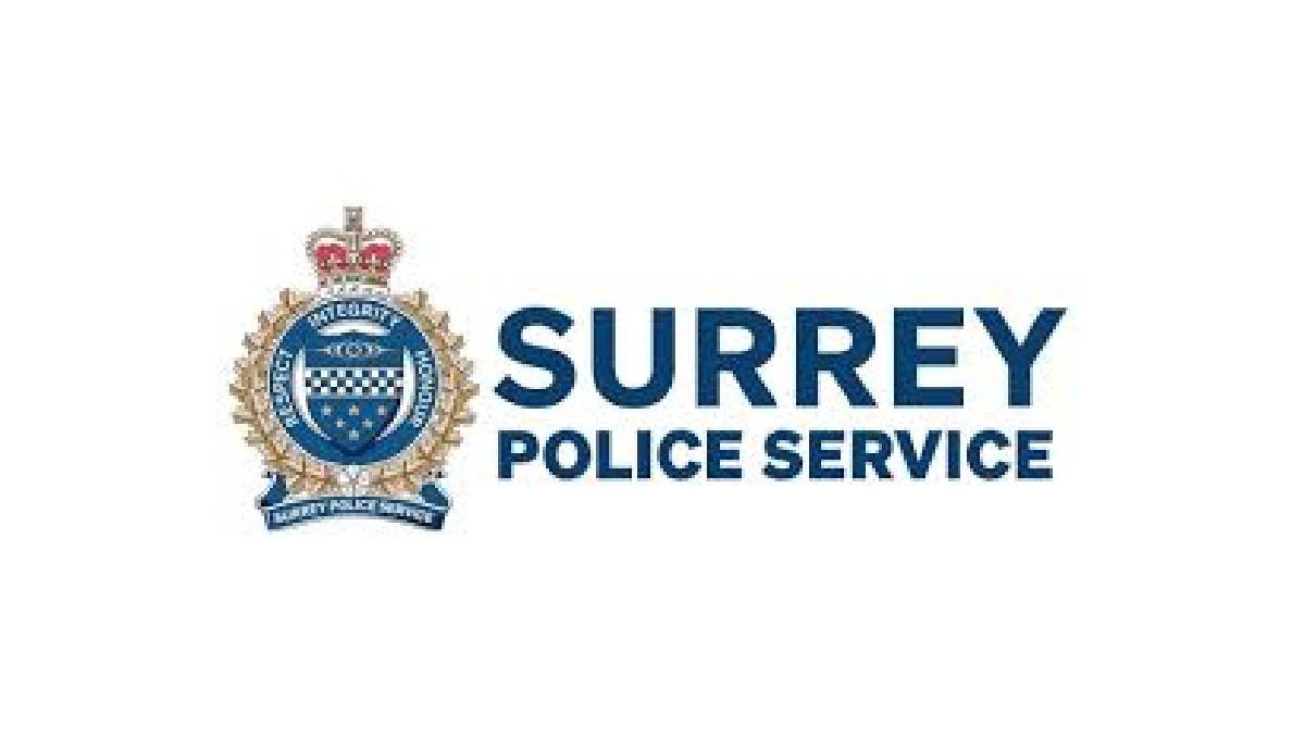 Surrey Police Internship